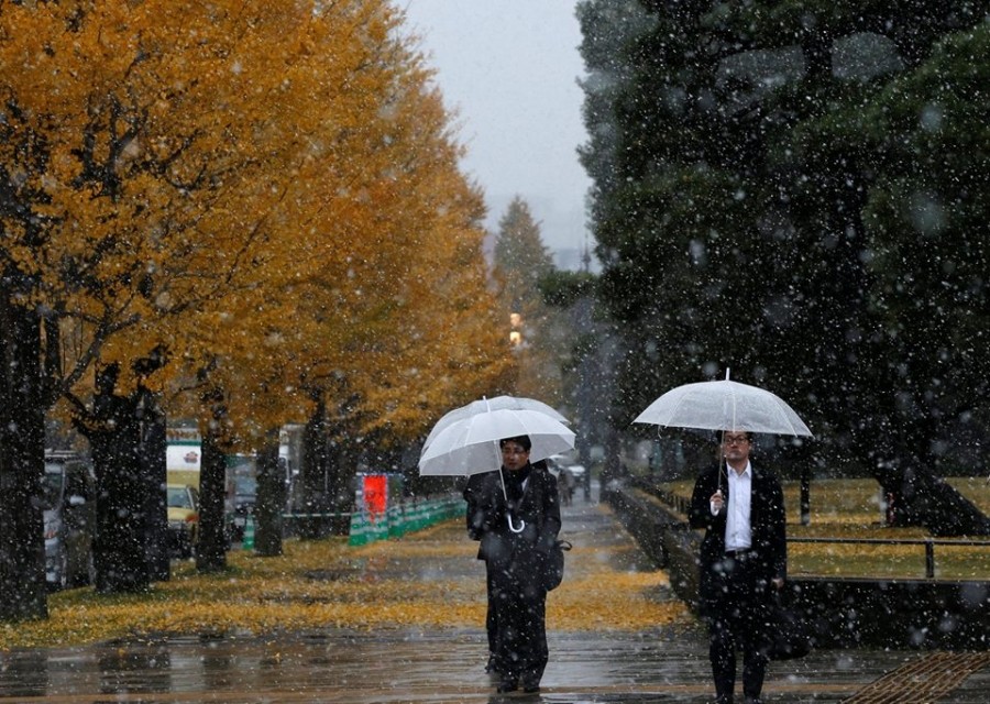 Токио хотод 54 жилийн дараа 11-р сард цас орлоо