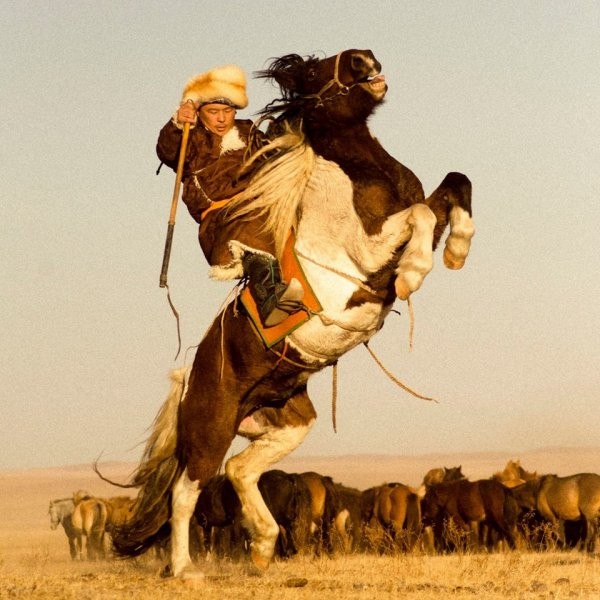 Монголын баялаг “Морин аялал”-ын Э.Хишигбаяр